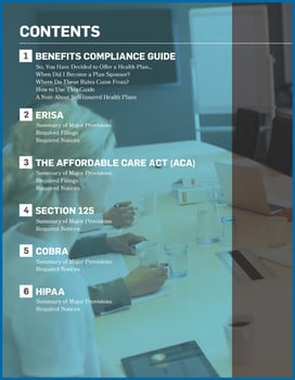 Benefits Compliance Guide Cover (500px)