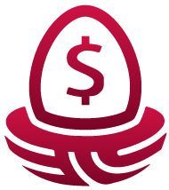ROI Icon