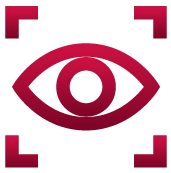 Vision Plans Icon