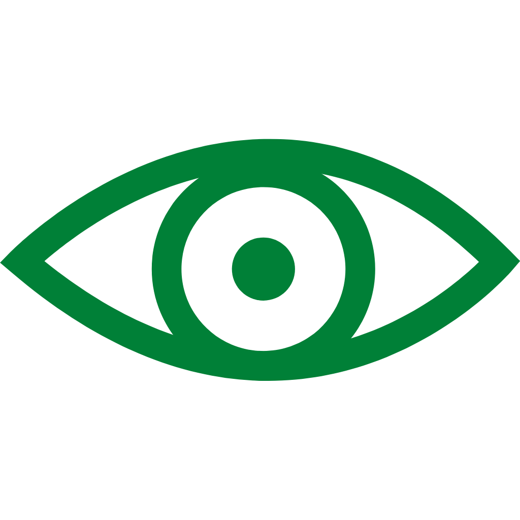 EYE ICON 6 (1)